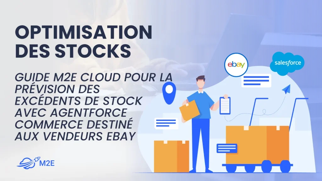 Optimisation des stocks : M2E Cloud Guide to Predicting Overstock with Salesforce for eBay Sellers
