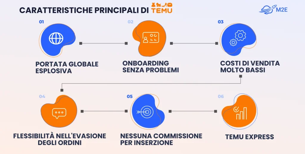 Caratteristiche principali di Temu